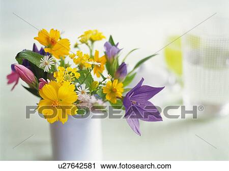 Stock Image - Flowers in Vase, Front View, Close Up, Differential Focus, In Focus, Out Focus. Fotosearch