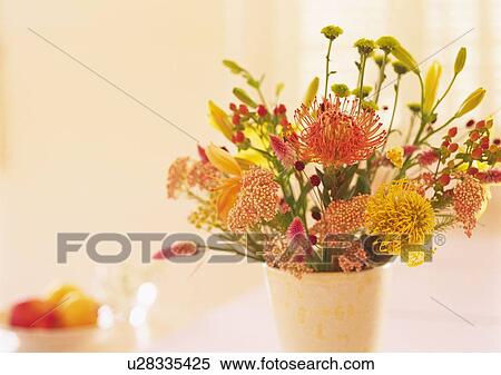 Flowers in Vase, High Angle View, Close Up, Differential Focus, In Focus, Out Focus, Toned Image View Large Photo Image Stock Photography - Flowers in Vase, High Angle View, Close Up, Differential Focus, In Focus, Out Focus, Toned Image. Fotosearch