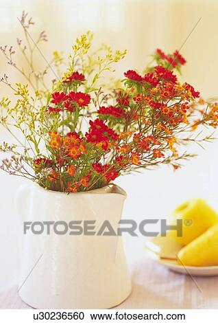 Flowers in Vase on Table, Close Up, Differential Focus, In Focus, Out Focus View Large Photo Image Stock Image - Flowers in Vase on Table, Close Up, Differential Focus, In Focus, Out Focus. Fotosearch
