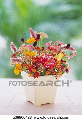 Flowers in Vase on Table, Close Up, Differential Focus, In Focus, Out Focus View Large Photo Image Stock Photo - Flowers in Vase on Table, Close Up, Differential Focus, In Focus, Out Focus. Fotosearch