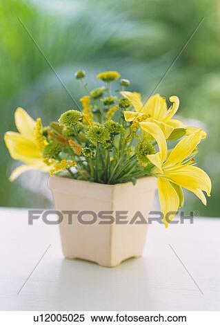 Stock Photography - Flowers in Vase on Table, Close Up, Differential Focus, In Focus, Out Focus. Fotosearch