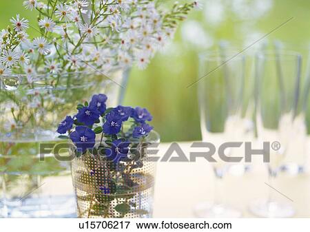 Flowers on Table, Close Up, Front View, Differential Focus, In Focus, Out Focus View Large Photo Image Stock Photo - Flowers on Table, Close Up, Front View, Differential Focus, In Focus, Out Focus. Fotosearch