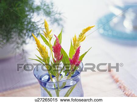 Stock Photography - Yellow and Pink Flowers in Glass, High Angle View, Close Up, Differential Focus, In Focus, Out Focus. Fotosearch