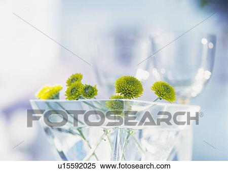 Yellow Flowers in Glass, Close Up, Differential Focus, In Focus, Out Focus View Large Photo Image Stock Photography - Yellow Flowers in Glass, Close Up, Differential Focus, In Focus, Out Focus. Fotosearch