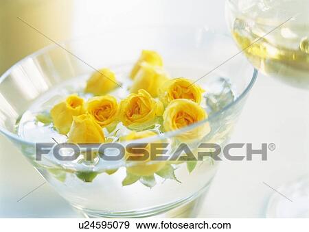 Stock Photo - Yellow Rose Floating in Bowl, High Angle View, Close Up, Differential Focus, In Focus, Out Focus. Fotosearch