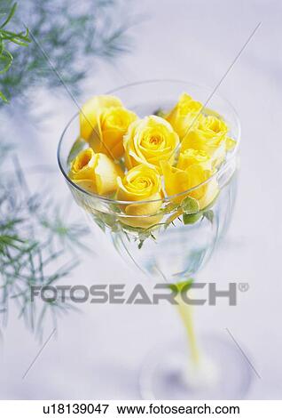 Stock Photo - Yellow Rose Floating in Glass Close Up, High Angle View, Differential Focus, In Focus, Out Focus. Fotosearch