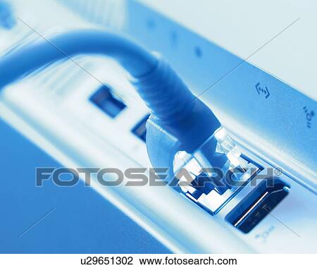 Cable Hooked in Modem, Close Up, Differential Focus, In Focus, Out Focus, Toned Image View Large Photo Image Stock Image - Cable Hooked in Modem, Close Up, Differential Focus, In Focus, Out Focus, Toned Image. Fotosearch