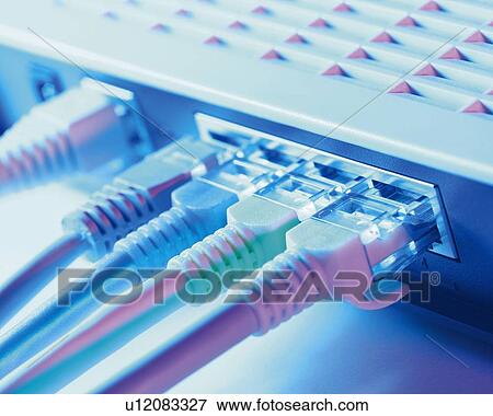 Cables Connected to Hub, Close Up, Differential Focus, In Focus, Out Focus, Toned Image View Large Photo Image Stock Photo - Cables Connected to Hub, Close Up, Differential Focus, In Focus, Out Focus, Toned Image. Fotosearch