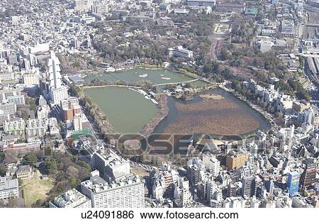 Shinobazunoike Area, Aerial View, Pan Focus View Large Photo Image Stock Photograph - Shinobazunoike Area, Aerial View, Pan Focus. Fotosearch