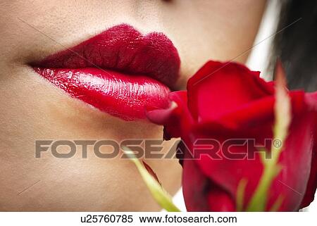 Red Lips and Rose, Close Up, Differential Focus View Large Photo Image Stock Photography - Red Lips and Rose, Close Up, Differential Focus. Fotosearch