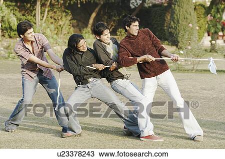 Four young men playing tug-of-war View Large Photo Image Stock Image - Four young men playing tug-of-war. Fotosearch
