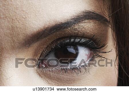 Close-up of a human eye View Large Photo Image Picture - Close-up of a human eye. Fotosearch