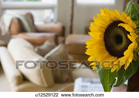 Stock Image - Detail of sunflower.. Fotosearch