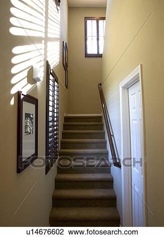 Stock Image - Carpeted Staircase. Fotosearch