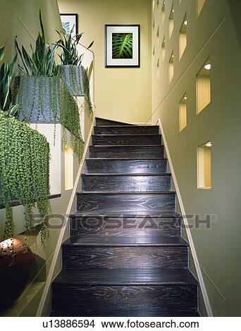 Picture - Dark Hardwood Staircase. Fotosearch