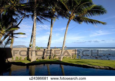 Stock Image - Backyard Swimming Pool Next to Ocean. Fotosearch