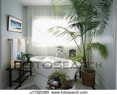 Stock Photography - Elegant Contemporary Master Bathroom. Fotosearch