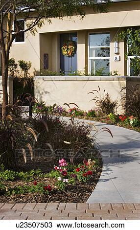 Front Walkway to Contemporary Stucco Home View Large Photo Image Stock Image - Front Walkway to Contemporary Stucco Home. Fotosearch