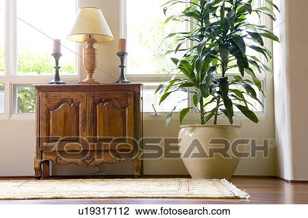 Low perspective of large potted plant next to wooden furniture with lamp and candles. View Large Photo Image Stock Image - Low perspective of large potted plant next to wooden furniture with lamp and candles.. Fotosearch
