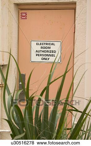 Juxtaposition of beach plants and electrical room door View Large Photo Image Stock Photo - Juxtaposition of beach plants and electrical room door. Fotosearch