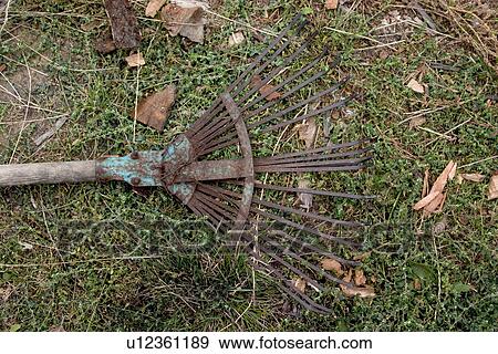 Old toothless rake View Large Photo Image Stock Photo - Old toothless rake. Fotosearch