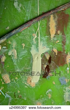 Stock Photo - Pattern on side of pail. Zawady Central Poland. Fotosearch