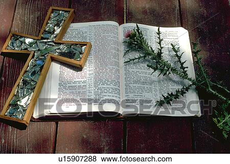 Stock Photo - Thistle Bible and Cross. Fotosearch