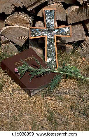 Stock Photo - Thistle Bible Cross and woodpile. Fotosearch
