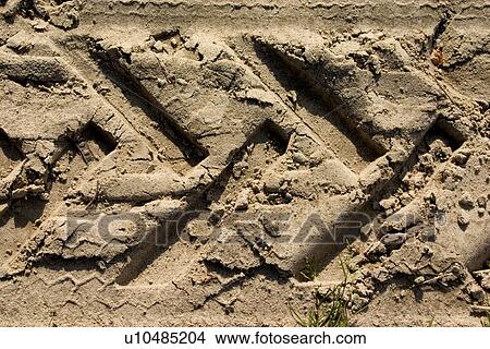 Picture - Tractor tire tracks imprinted into dirt road in Poland. Fotosearch