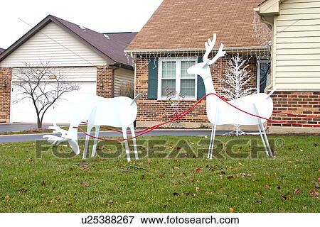 Stock Photo - White reindeer waiting for Christmas and the first snowfall on the front lawn of a home. Fotosearch