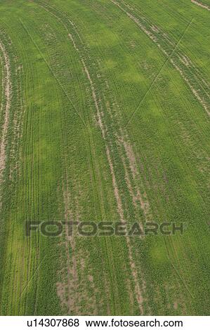 agricultural land, agriculture, aerial view View Large Photo Image Stock Photo - agricultural land, agriculture, aerial view. Fotosearch