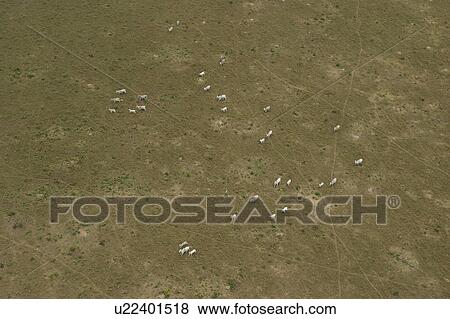 agricultural land, agriculture, aerial view View Large Photo Image Stock Photo - agricultural land, agriculture, aerial view. Fotosearch