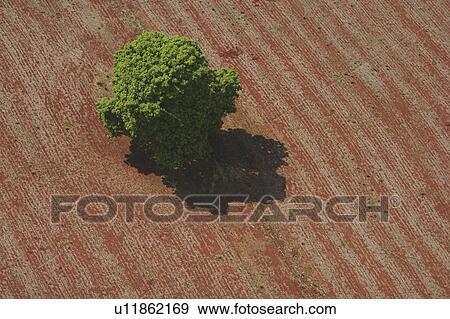 agricultural land, country, aerial view View Large Photo Image Stock Photo - agricultural land, country, aerial view. Fotosearch