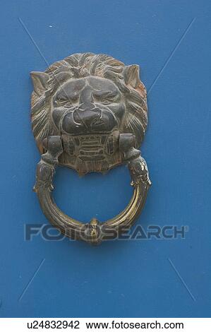 Animal Themes, Day, Close-Up, Blue, Animal Head View Large Photo Image Stock Image - Animal Themes, Day, Close-Up, Blue, Animal Head. Fotosearch