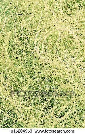 Stock Image - Appearance, Artistic, Arrangement, Abstract. Fotosearch