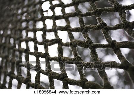 Picture - Arrangement, Day, Close-Up, Brown, Appearance. Fotosearch