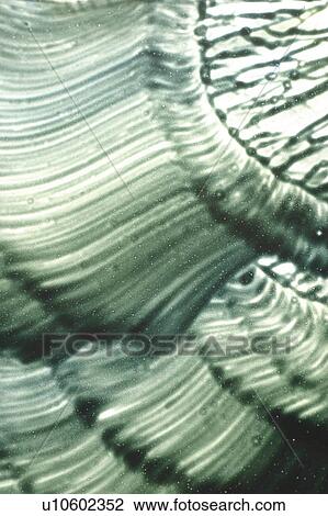 Stock Image - art, design, decorative, artistic, appearance. Fotosearch