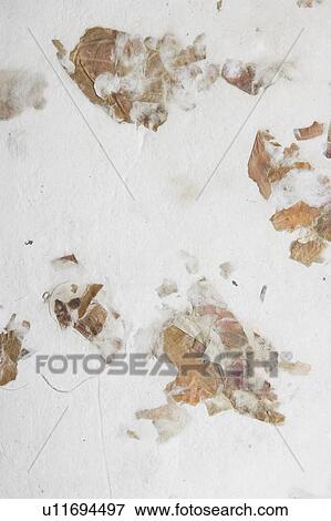 artistic, background, appearance View Large Photo Image Stock Photo - artistic, background, appearance. Fotosearch