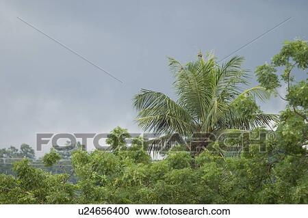 Stock Image - atmosphere. Fotosearch