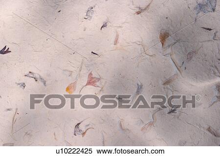 Stock Photography - background, artistic, pattern, dry flowers, appearance, art. Fotosearch