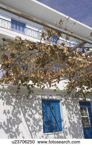 Background, Balcony, Blue Sky, Building, Close-Up, Creeper View Large Photo Image Stock Image - Background, Balcony, Blue Sky, Building, Close-Up, Creeper. Fotosearch