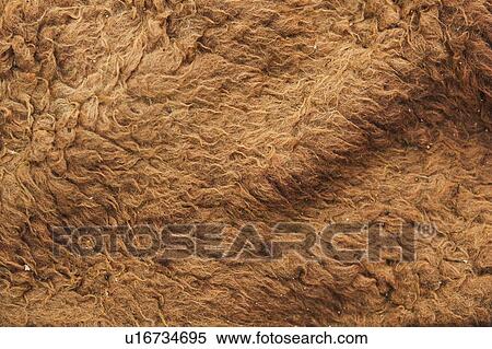 Background, Blanket, Brown, Close-Up, Cloth View Large Photo Image Stock Photography - Background, Blanket, Brown, Close-Up, Cloth. Fotosearch