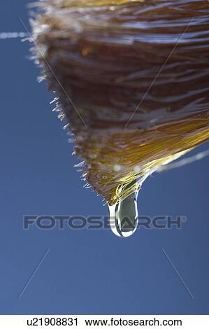 Stock Image - Background, Blue, Close-Up, Dripping, Drop. Fotosearch