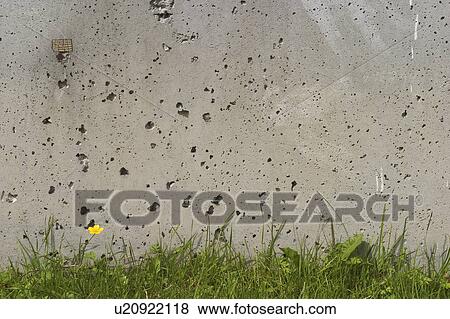 Stock Photo - Background, Building, Close-Up, Environment, Flora. Fotosearch