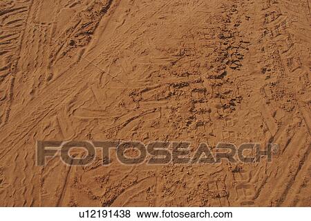 background, close-up, agriculture View Large Photo Image Stock Photo - background, close-up, agriculture. Fotosearch