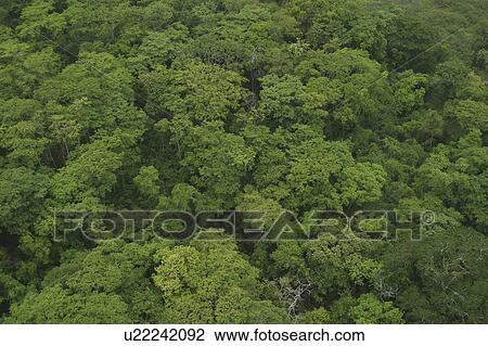 background, cluster, aerial View Large Photo Image Stock Image - background, cluster, aerial. Fotosearch