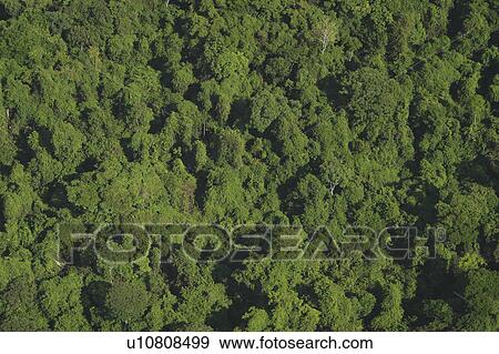 background, cluster, aerial View Large Photo Image Stock Photo - background, cluster, aerial. Fotosearch