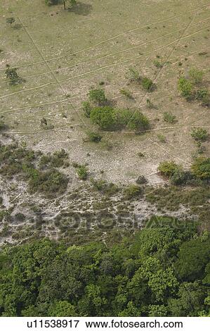 background, cluster, aerial View Large Photo Image Stock Photo - background, cluster, aerial. Fotosearch