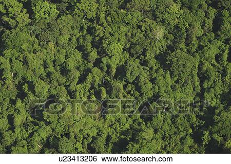 background, cluster, aerial View Large Photo Image Stock Photograph - background, cluster, aerial. Fotosearch