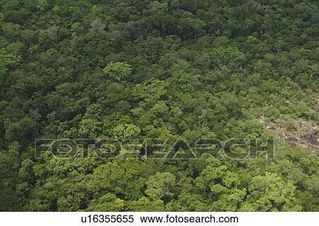 background, cluster, aerial View Large Photo Image Stock Photography - background, cluster, aerial. Fotosearch
